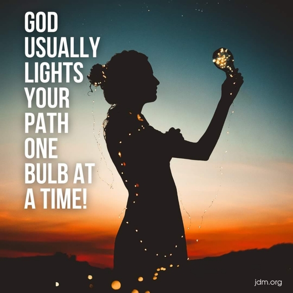 Vans floral tiger palm tree slip on sneakers 7.5 - Picture 11 of 11